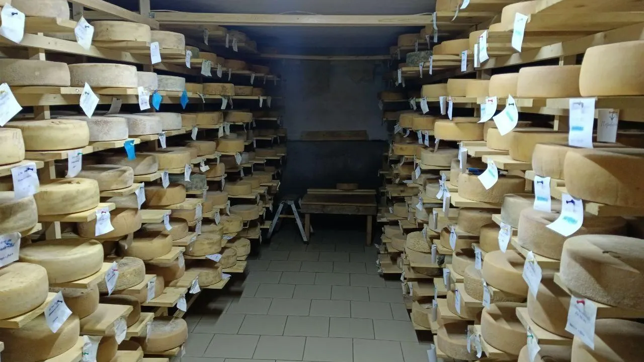 Фото: Министерство сельского хозяйства и продовольствия Московской области