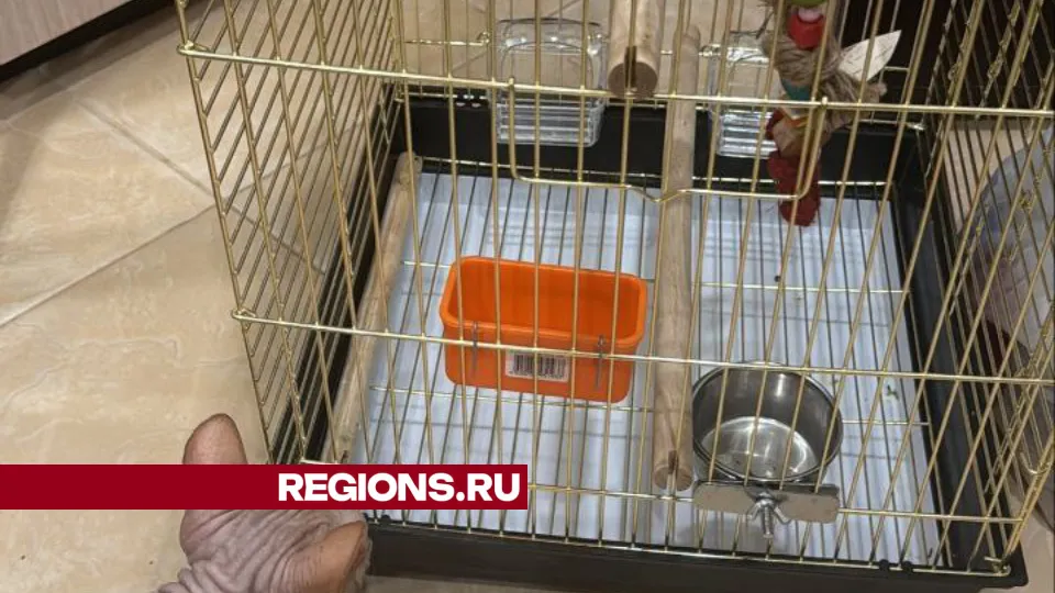 Фото: Татьяна Большакова