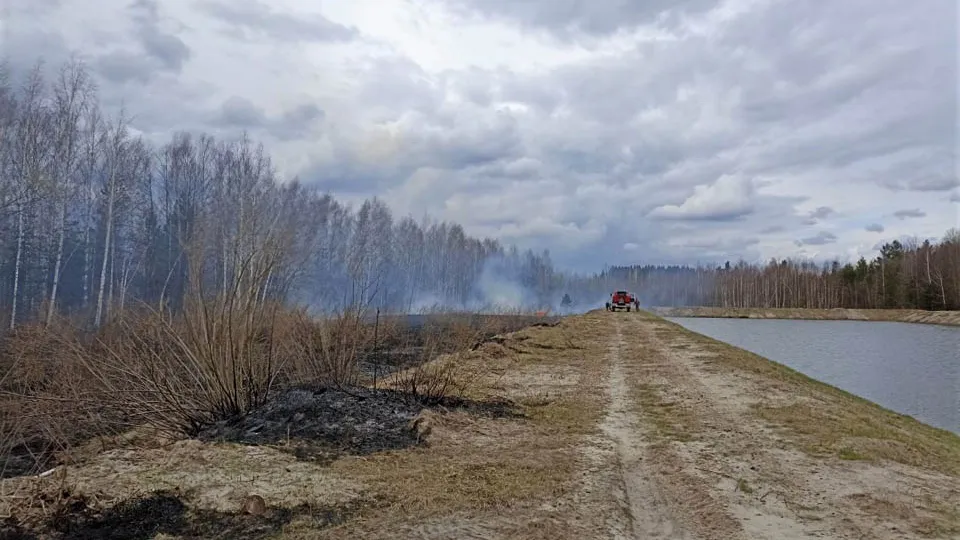 Фото: пресс-служба Комитета лесного хозяйства Московской области