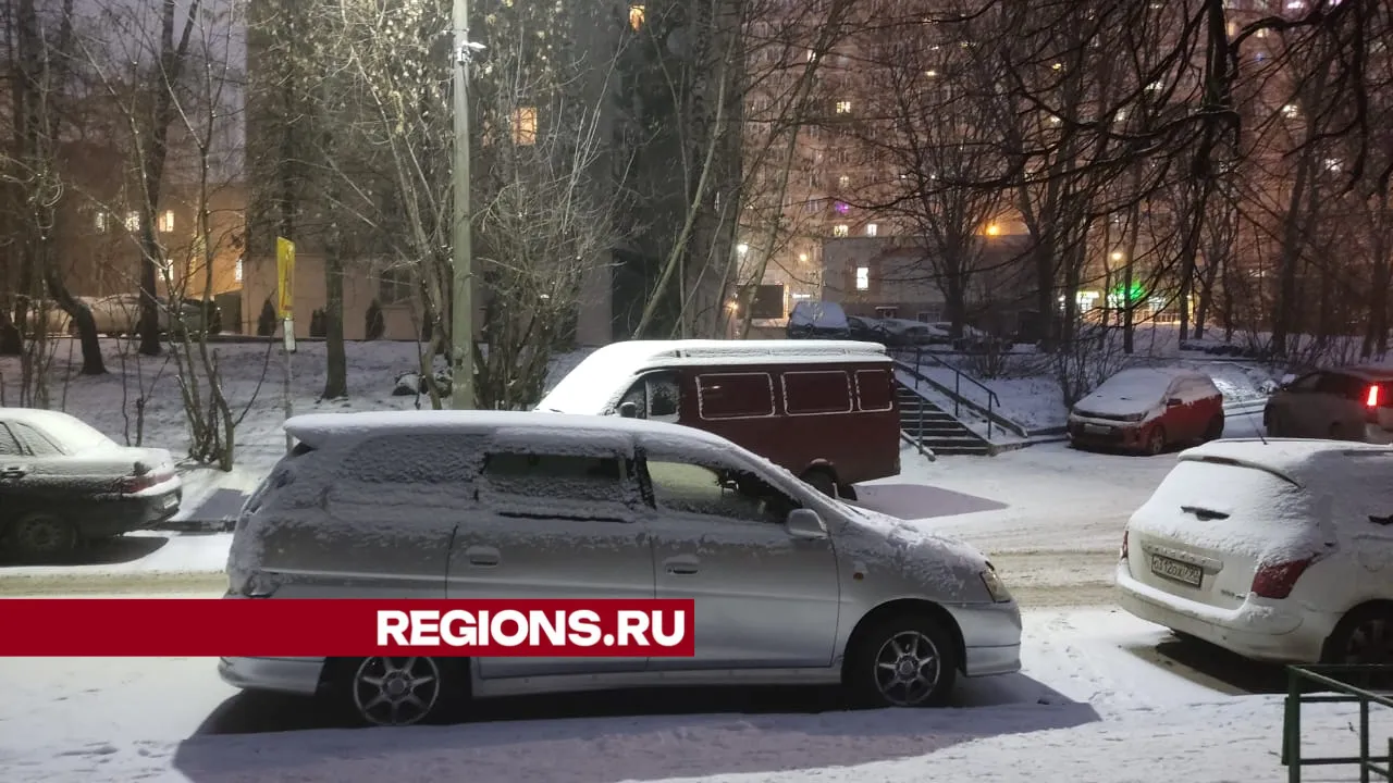 Фото: REGIONS/Юлия Павлова