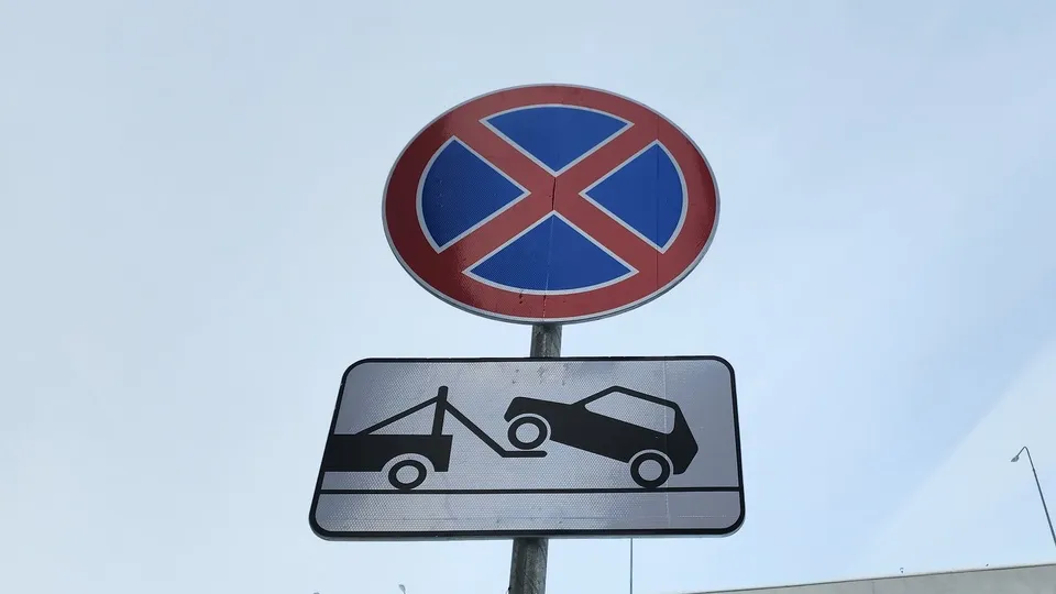 Фото: МедиаБанк Подмосковья/Анастасия Сараева