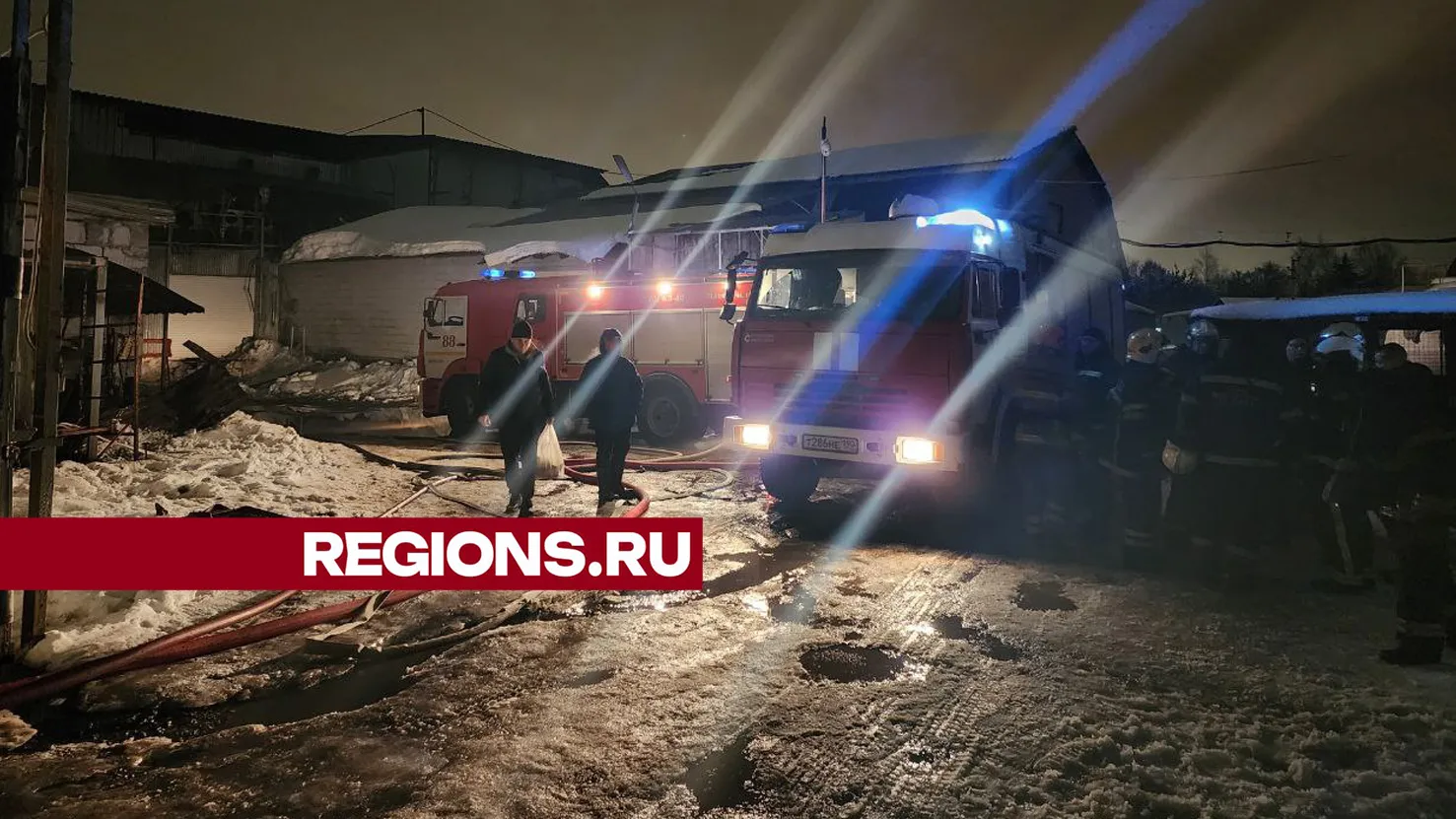 Фото: Роман Савельев