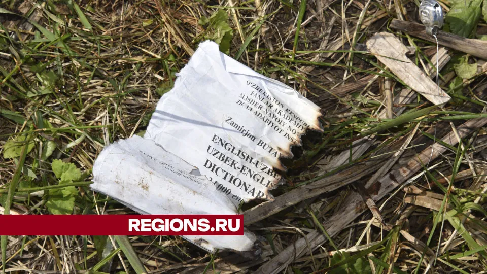 Фото: Владимир Останин
