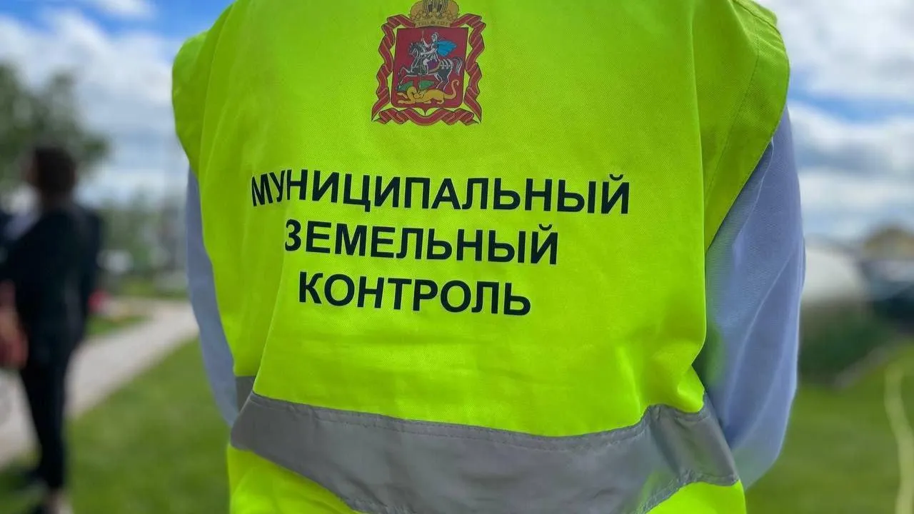 В Московской области исправили более 1700 нарушений целевого использования земель