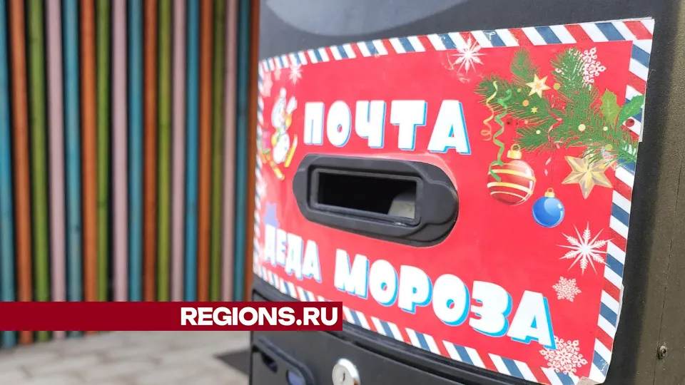 Фото: Юлия Андросова