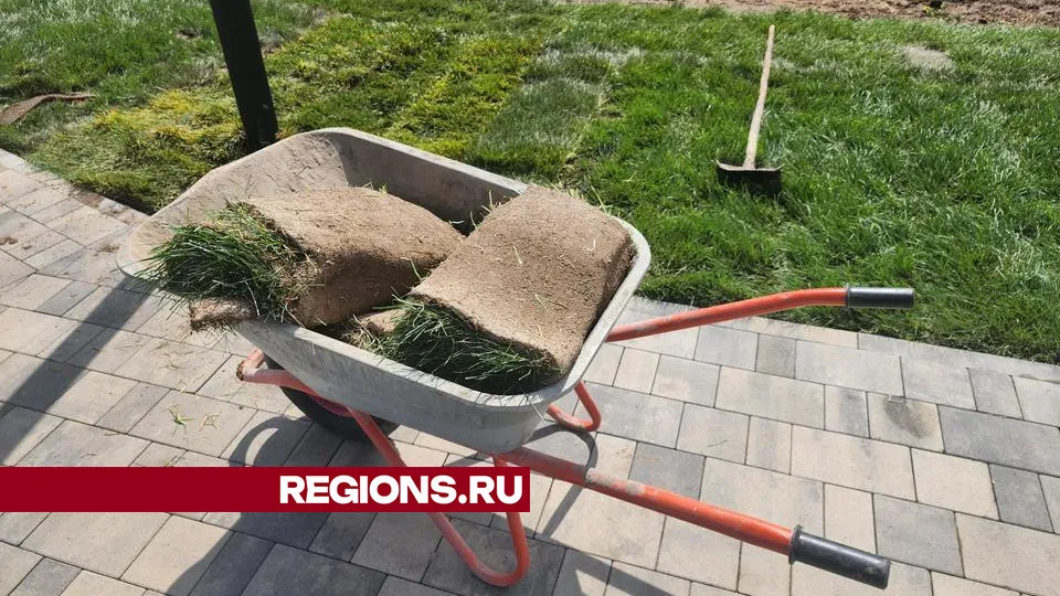 Картинка