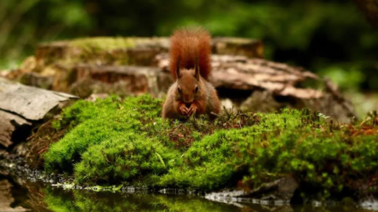 Фото: freepik.com