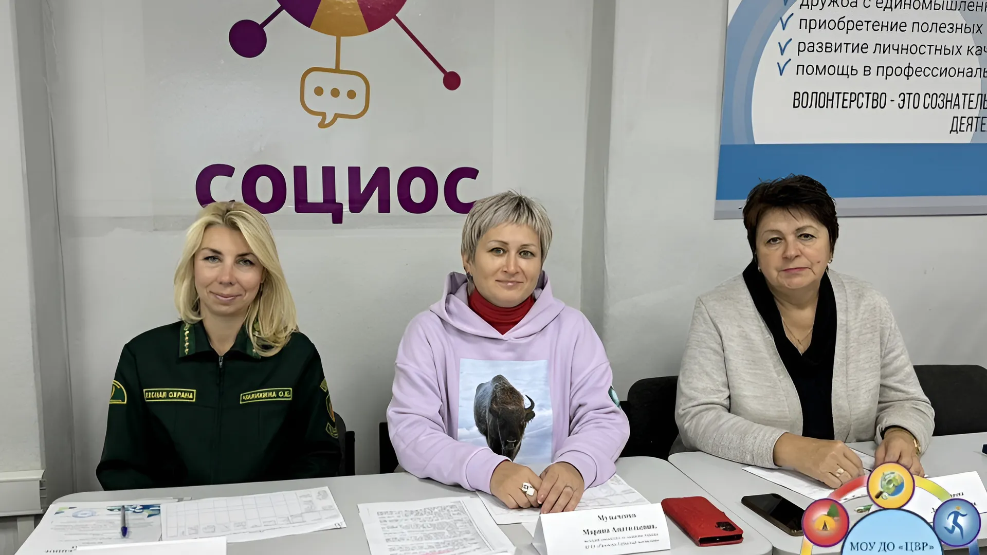 Фото: Комитет лесного хозяйства Московской области