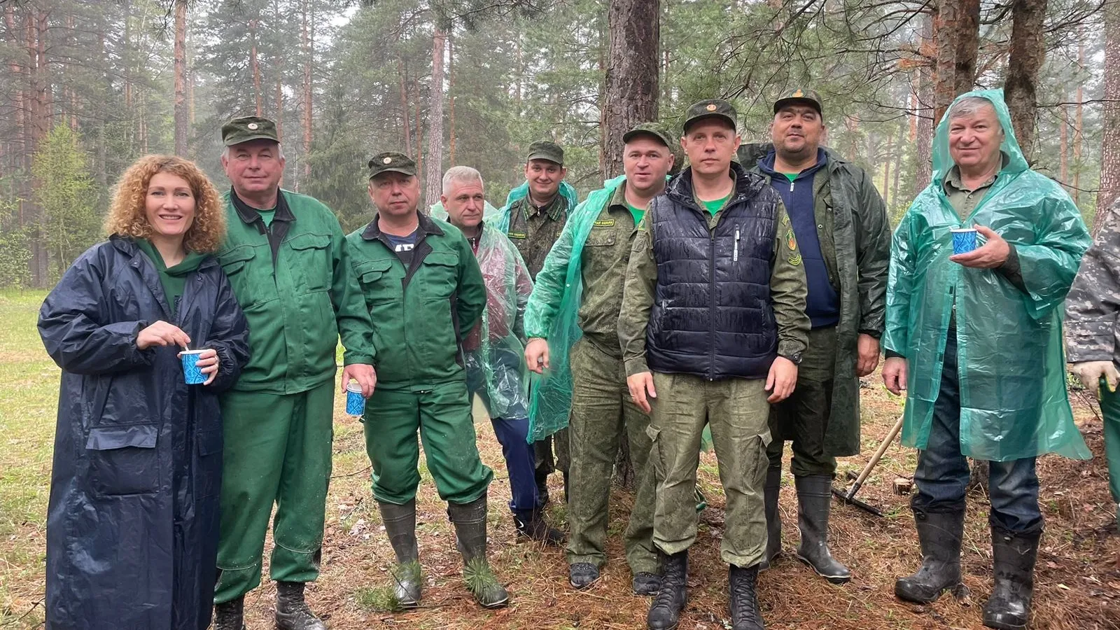 Фото: Егорьевское лесничество