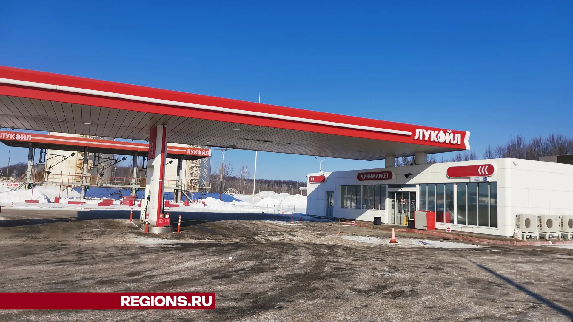 Дарья Кургузова