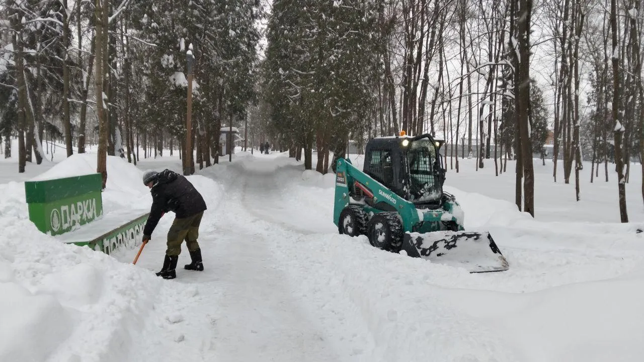 Картинка