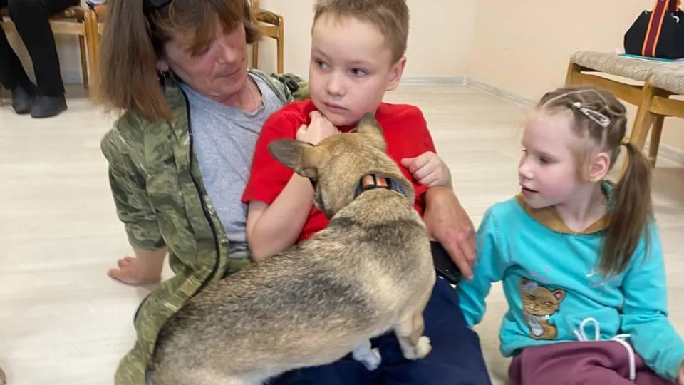 Картинка