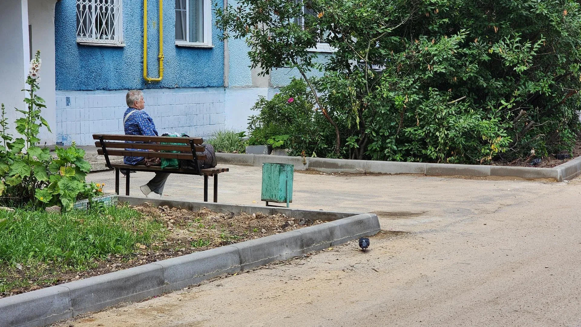 Картинка