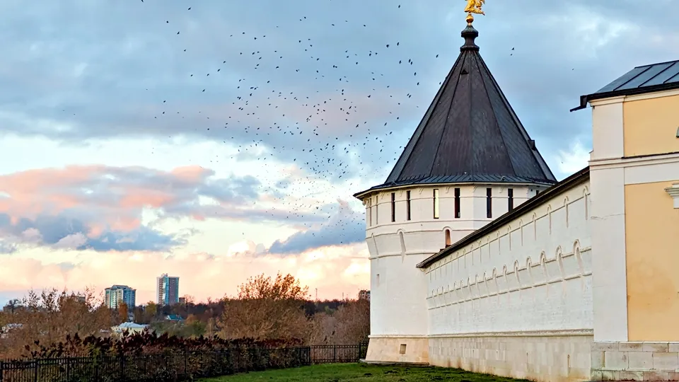 Фото: REGIONS/Алексей Селиверстов