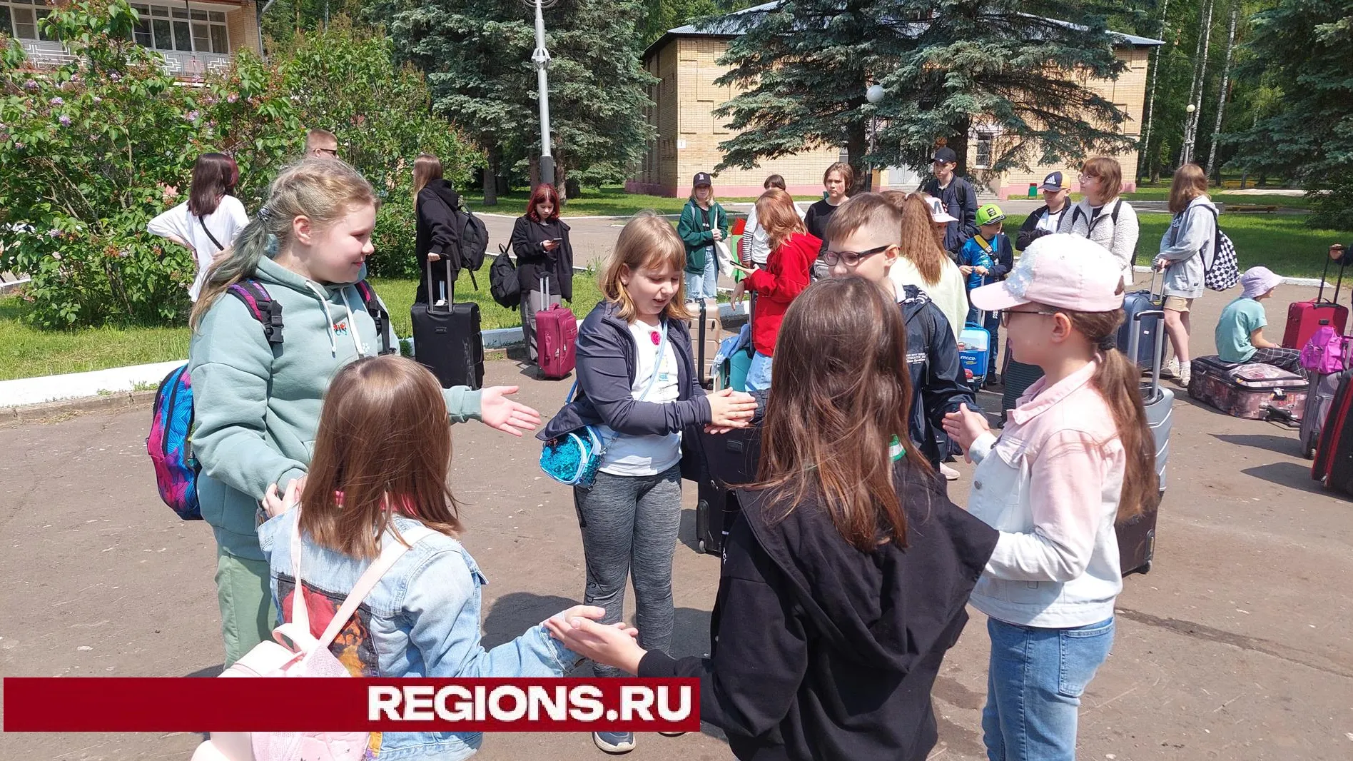 Фото: Светлана Плотникова