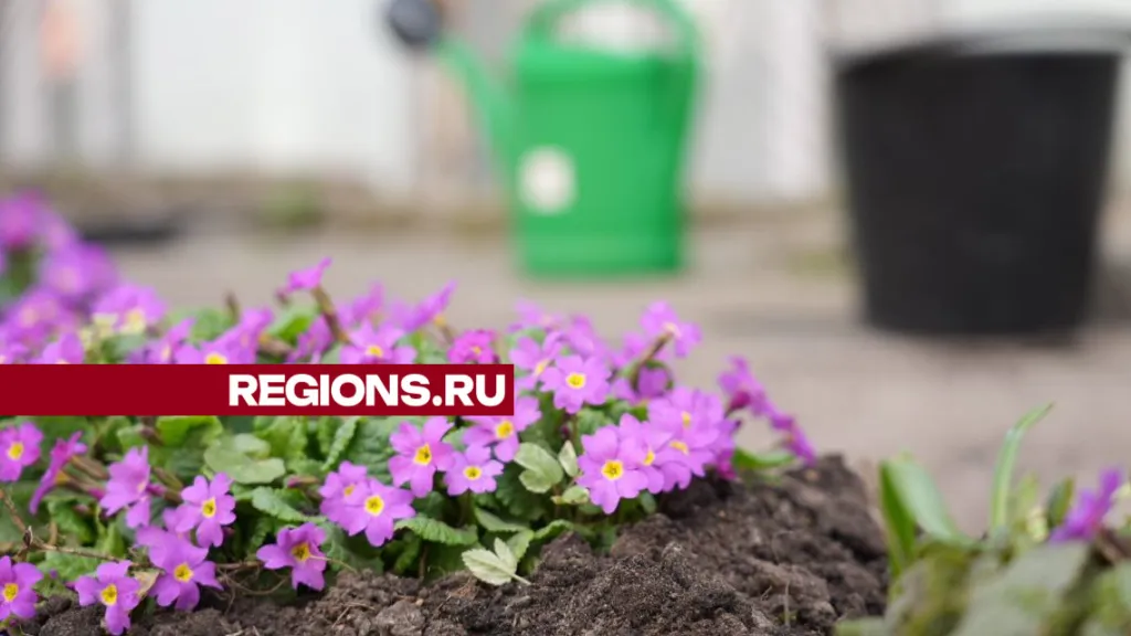 Фото: REGIONS/Дарья Леонова