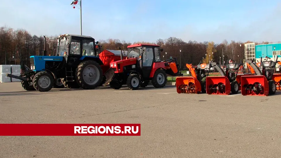 Фото: REGIONS/Василий Тремасов