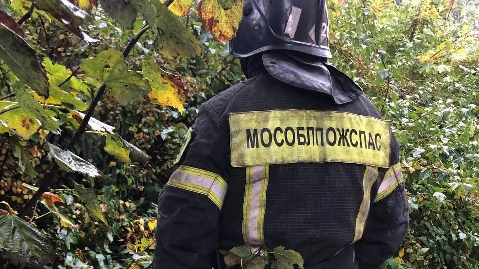 Фото: пресс-служба ГКУ МО «Мособлпожспас»