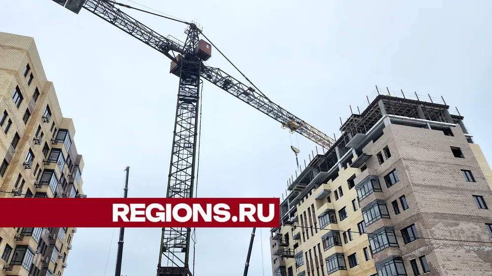 фото и текст: Ксения Пашуто