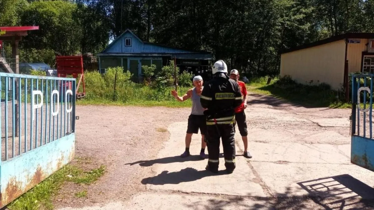 Картинка