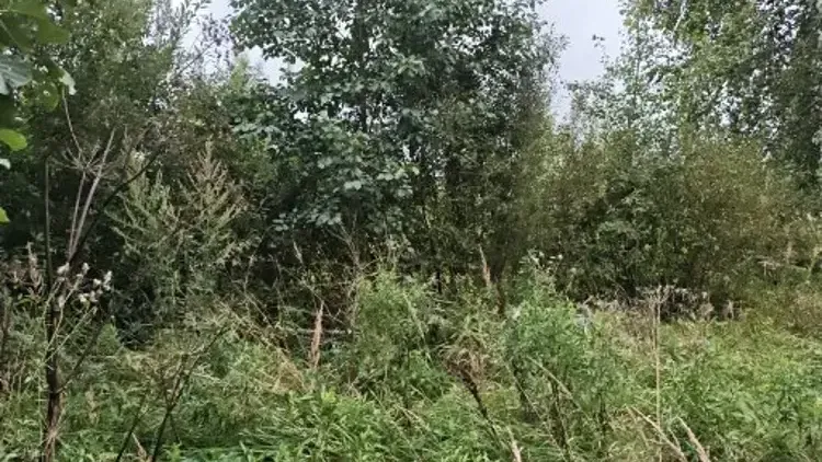 Участок на торгах в Подмосковье