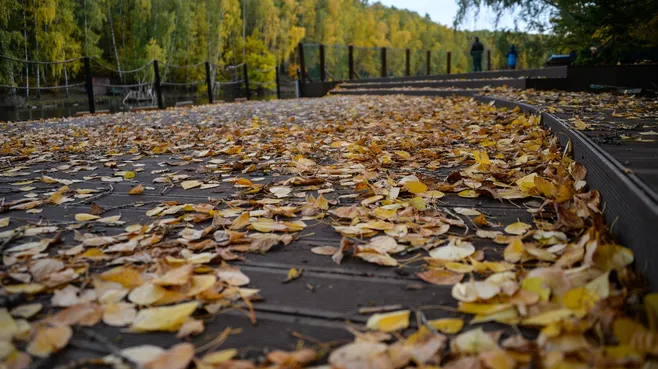 Lantyukhov Sergey/news.ru