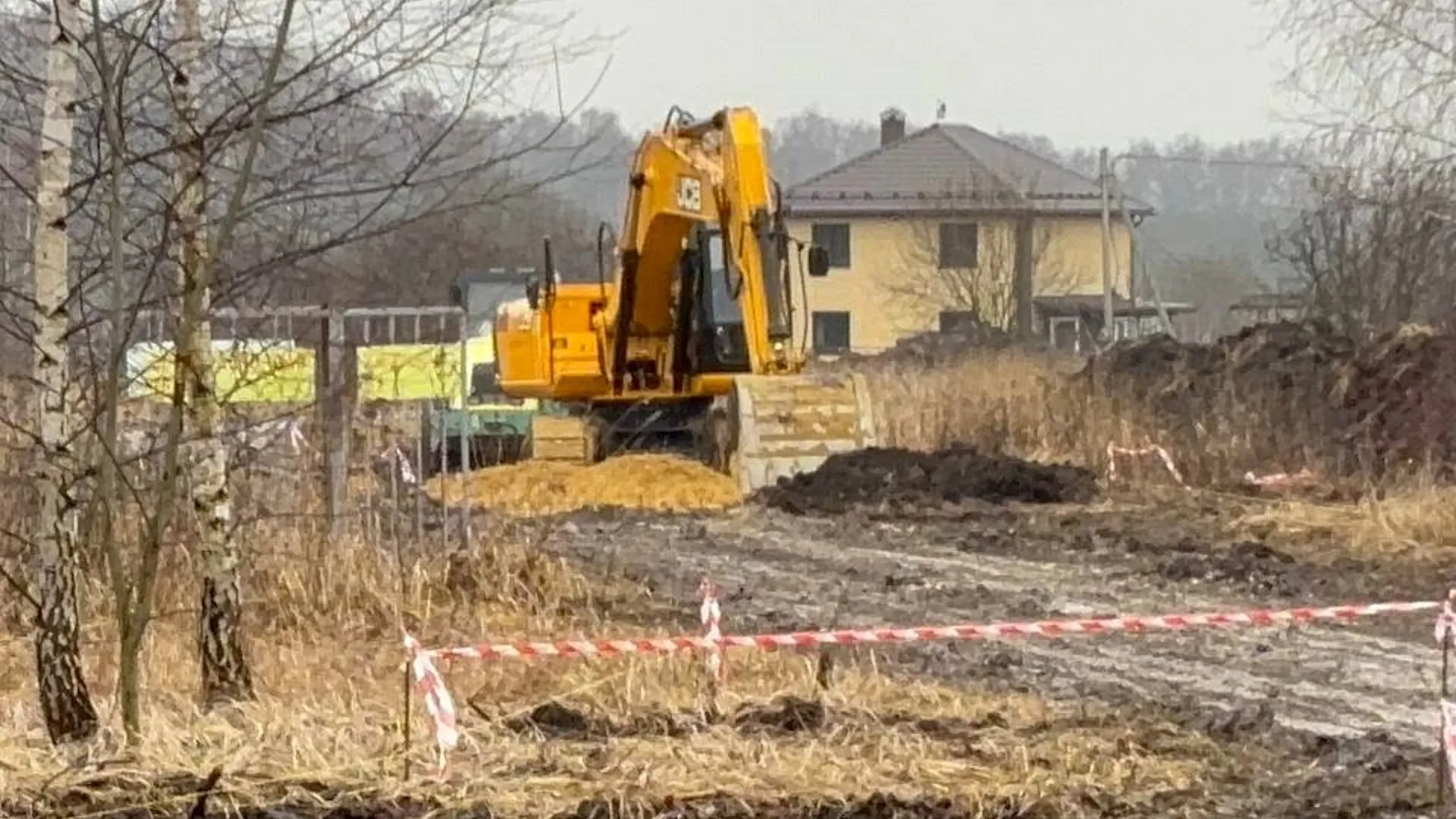 Фото: Светлана Плотникова
