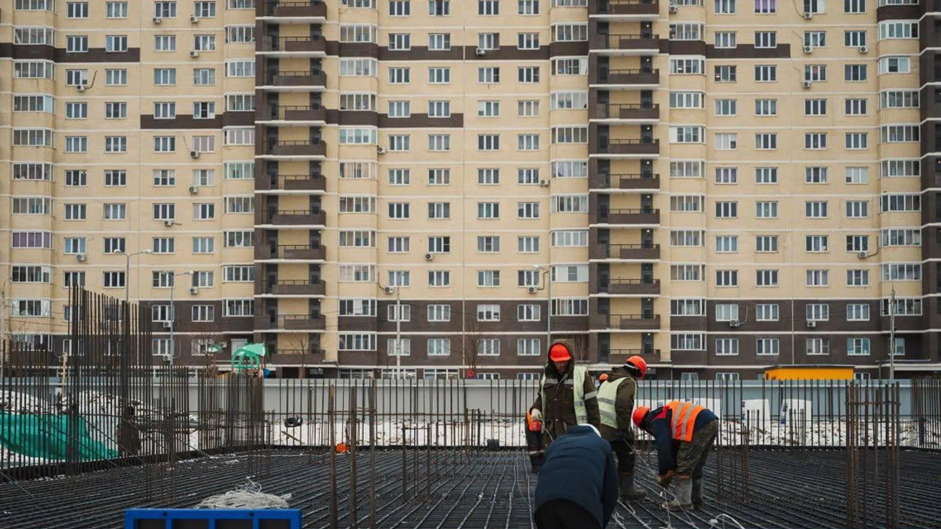 Фото: пресс-служба администрации г. о. Лосино-Петровский