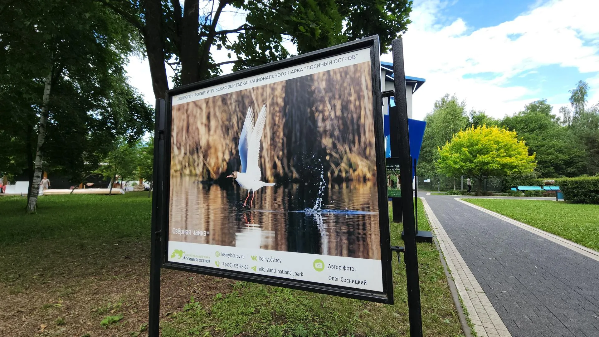 Картинка