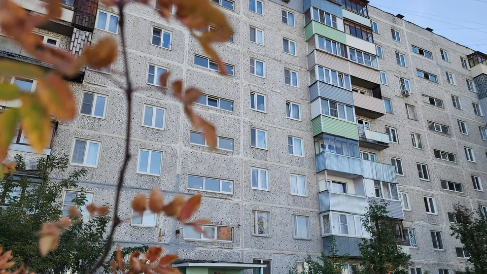 Фото: Медиабанк Подмосковья/Ольга Сычева