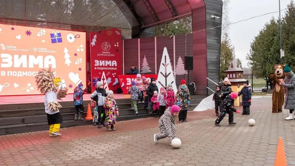 Фото: МАУК «ГПКиО Домодедово»