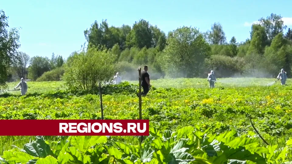 Фото: Данила Кирьянов