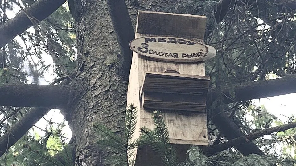 Фото: МБУК  «Городской парк культуры и отдыха»
