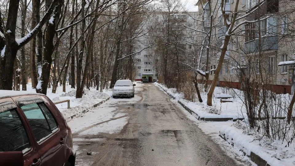 Фото: пресс-служба администрации г. о. Фрязино