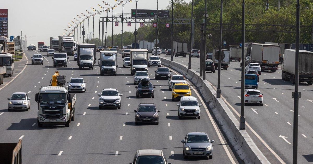 Пять баллов и лоси на дорогах: что ждет водителей Подмосковья вечером