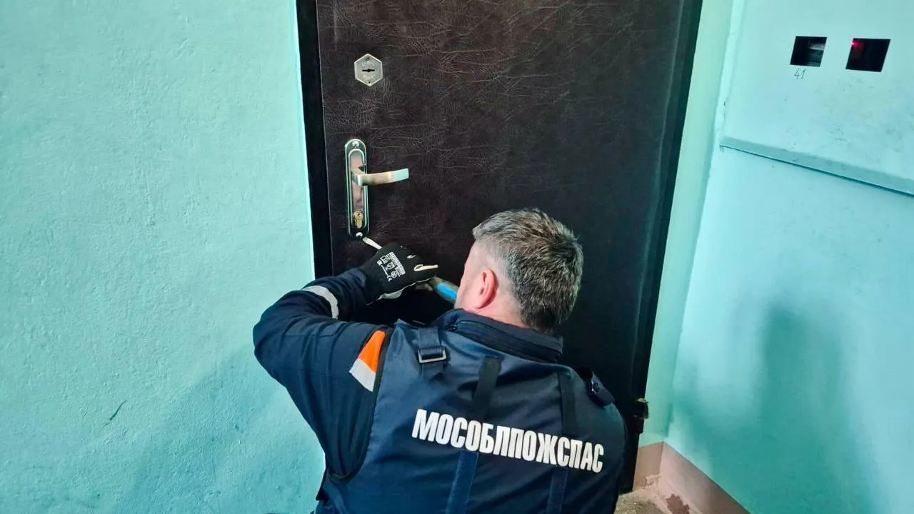 Фото: ГКУ МО «Мособлпожспас»