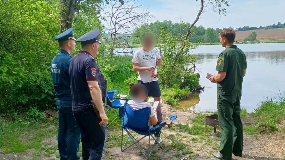 Фото: Комитет лесного хозяйства хозяйства Московской области