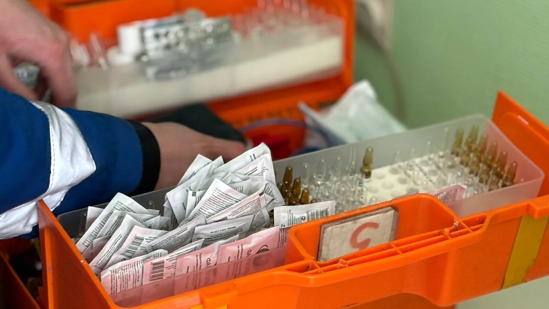 Фото: Светлана Плотникова