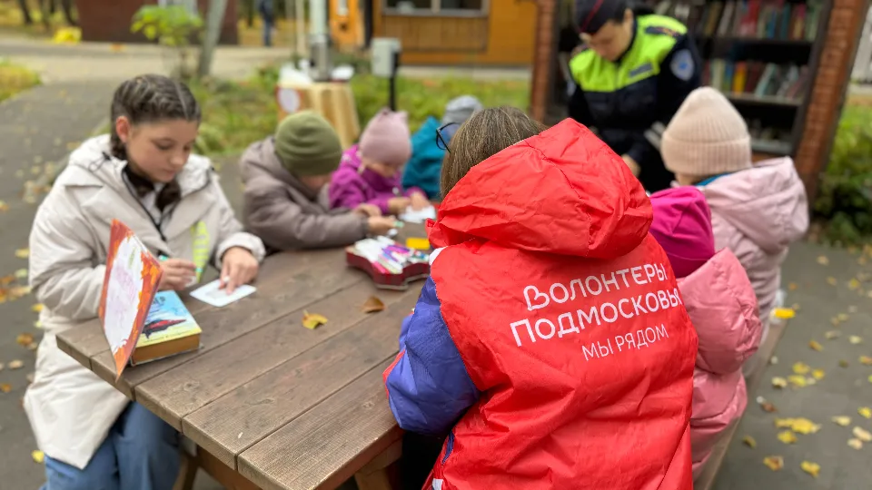 Фото: Отдел Госавтоинспекции ОМВД «Лотошинский»