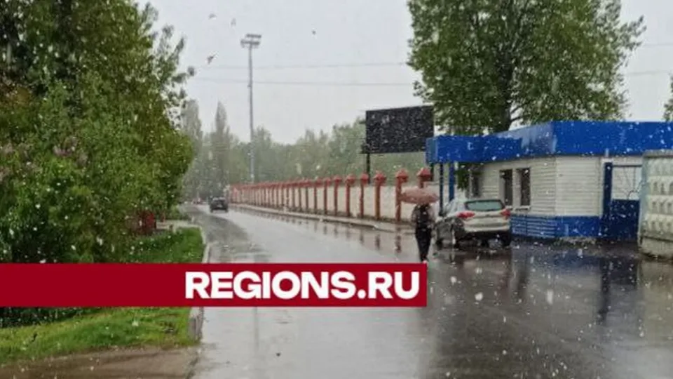 Фото: REGIONS/Дарья Кургузова