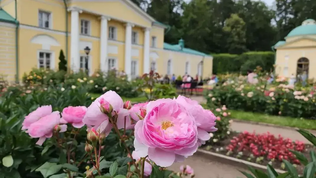 Картинка