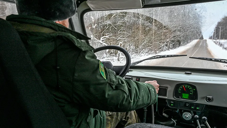 Фото: филиал «Русский лес» ГКУ МО «Мособллес»