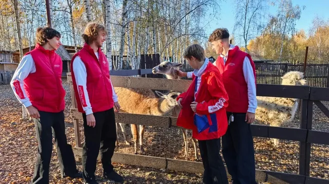 Картинка