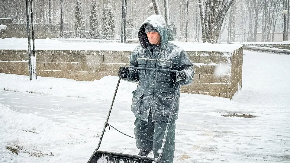 Фото: МедиаБанк Подмосковья/Данила Кирьянов