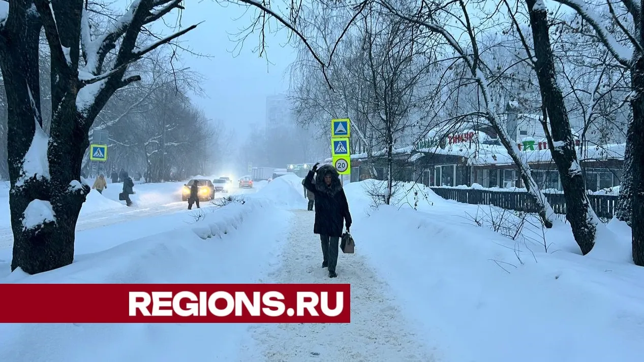 Фото: Елена Фурман