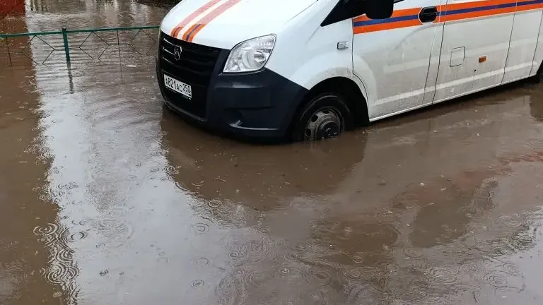 Картинка