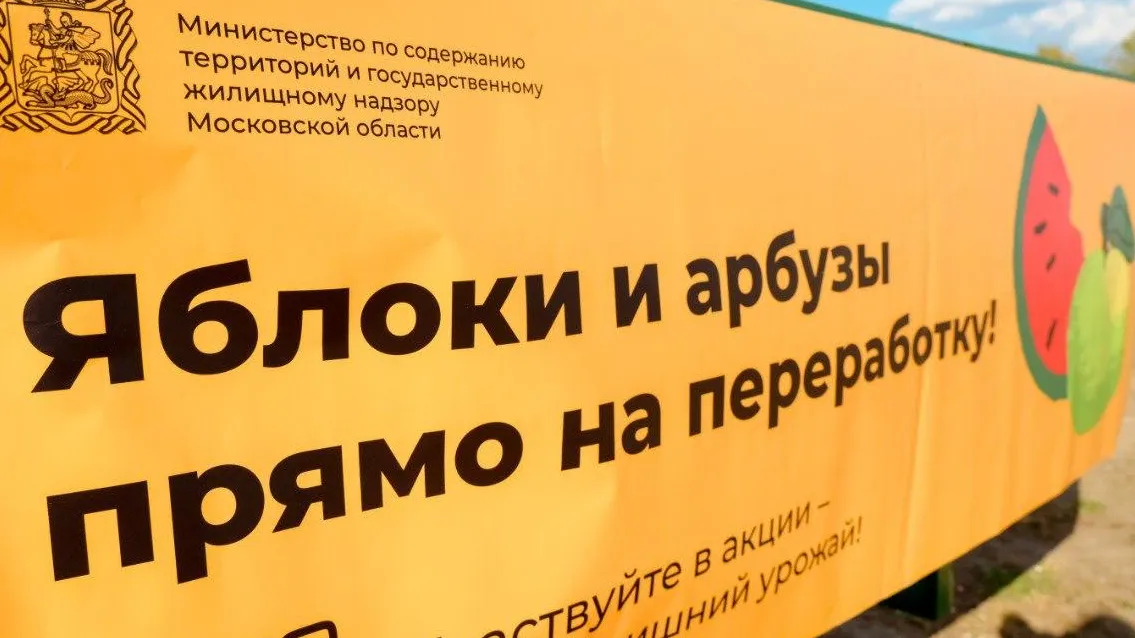 Фото: пресс-служба Администрации Сергиево-Посадского г.о.