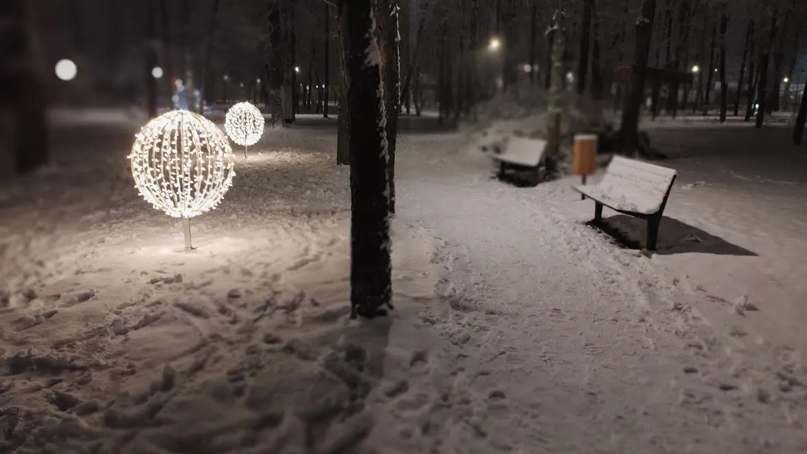 фото: Алексей Селиверстов / Regions.ru