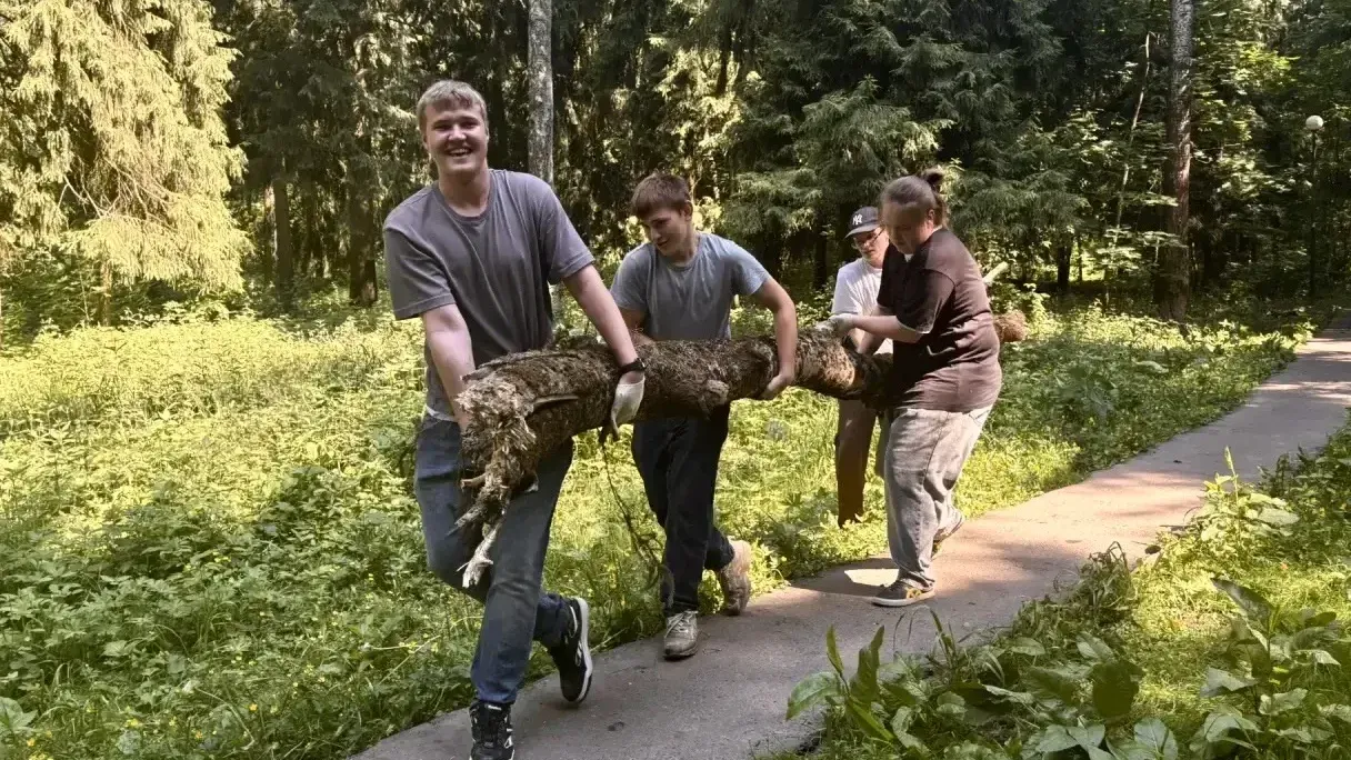 Картинка