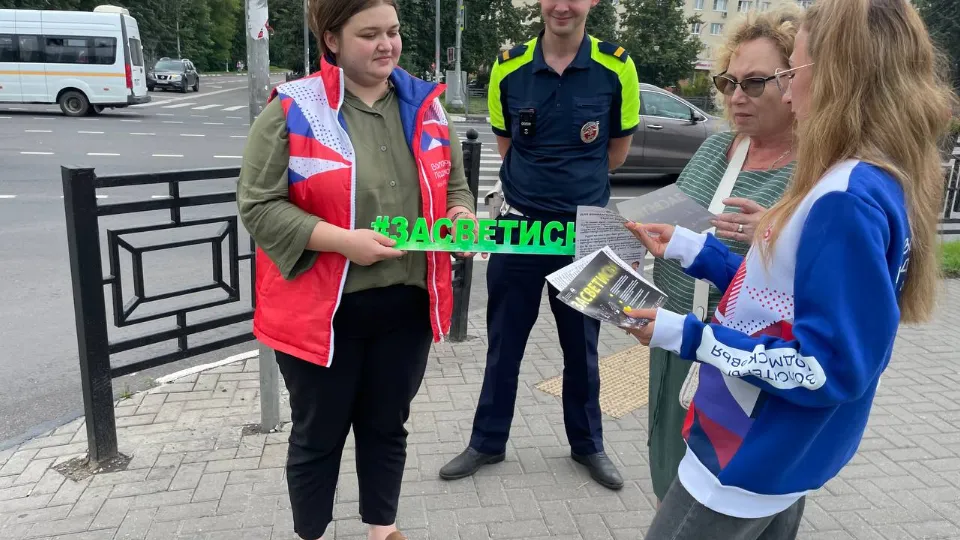 Фото: Госавтоинспекция УМВД России по г. о. Домодедово